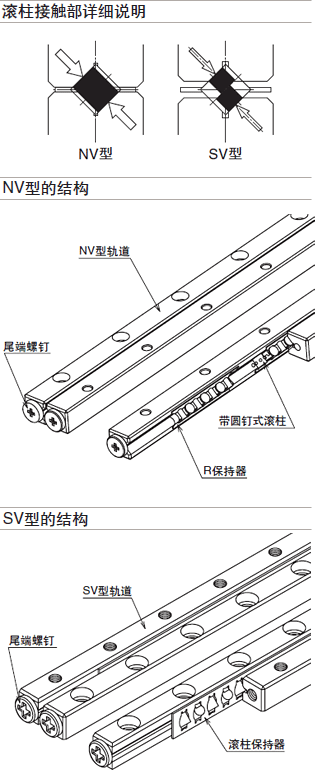 結構與特征